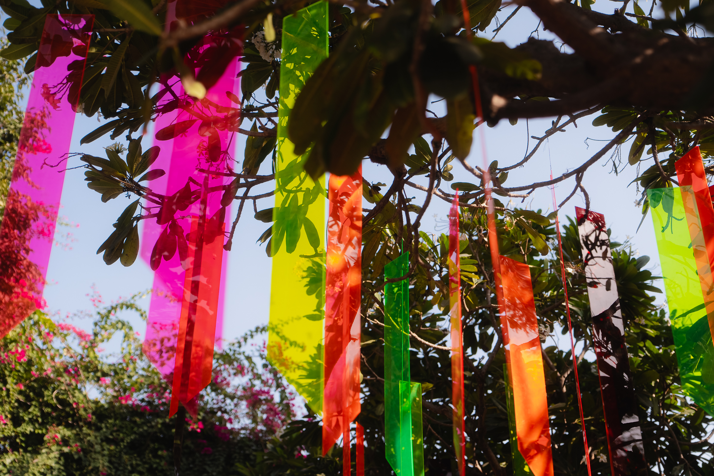 Image from Akhila Anand